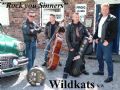 The Wild Kats